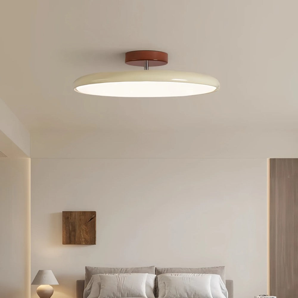 Modern Adjustable Color Ceiling Light