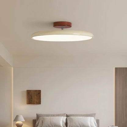 Modern Adjustable Color Ceiling Light