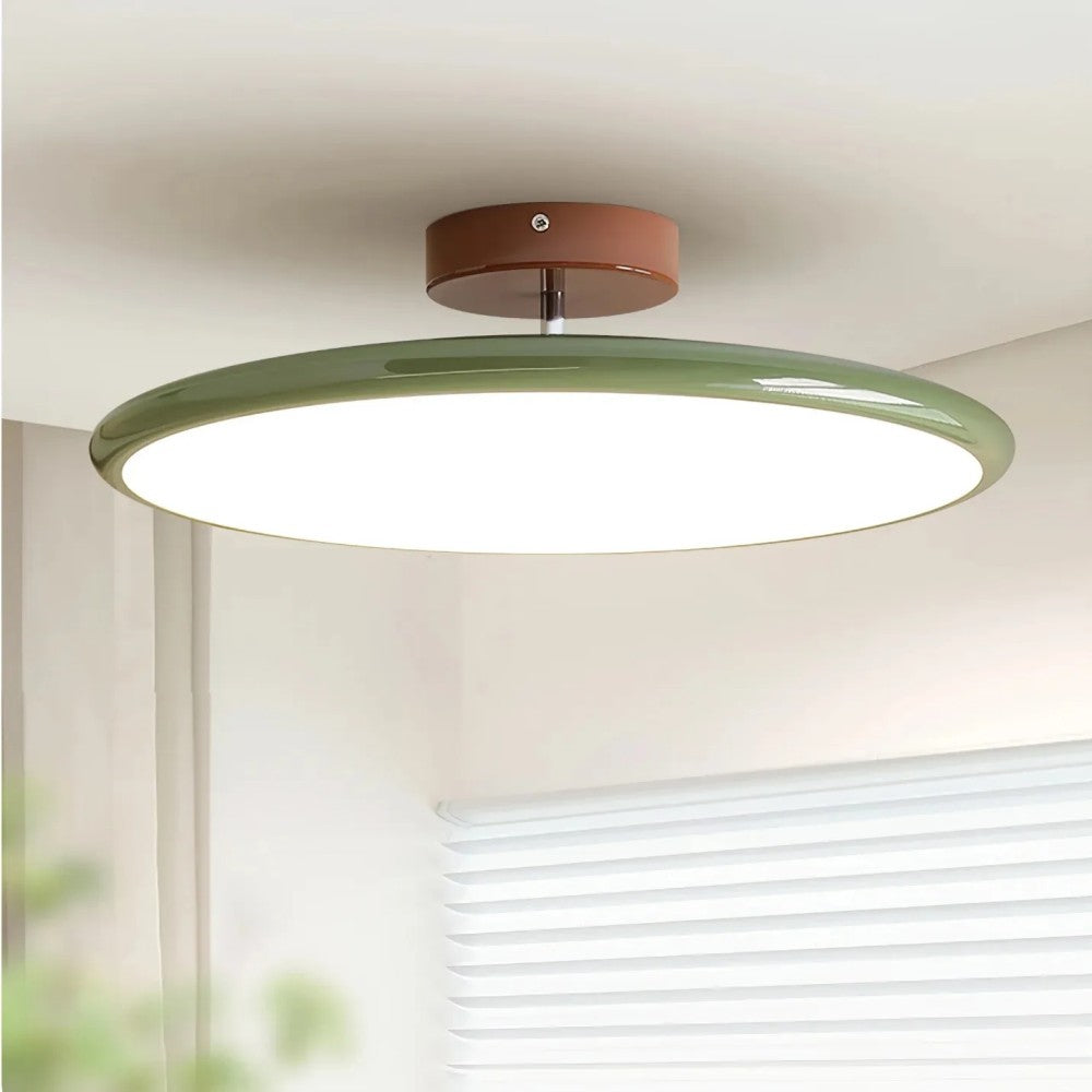 Modern Adjustable Color Ceiling Light