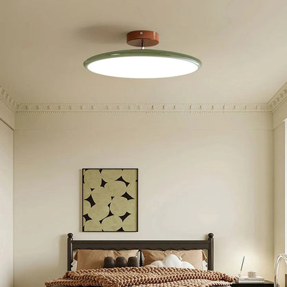 Modern Adjustable Color Ceiling Light