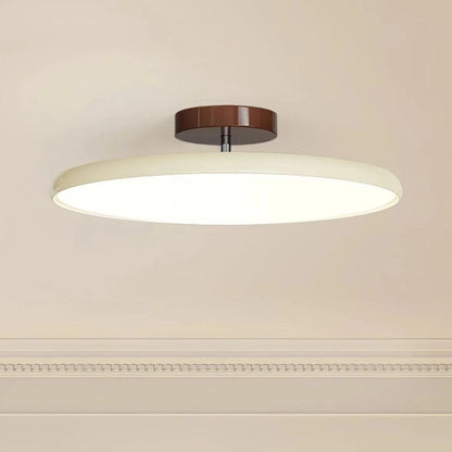 Modern Adjustable Color Ceiling Light