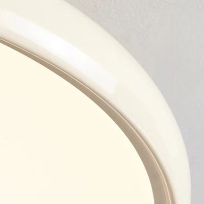 Modern Adjustable Color Ceiling Light