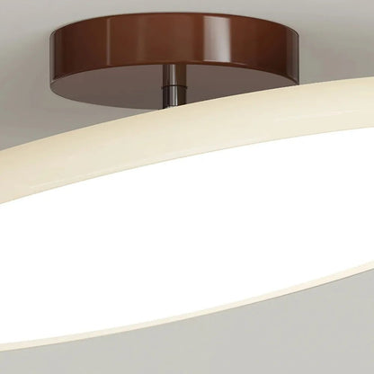 Modern Adjustable Color Ceiling Light
