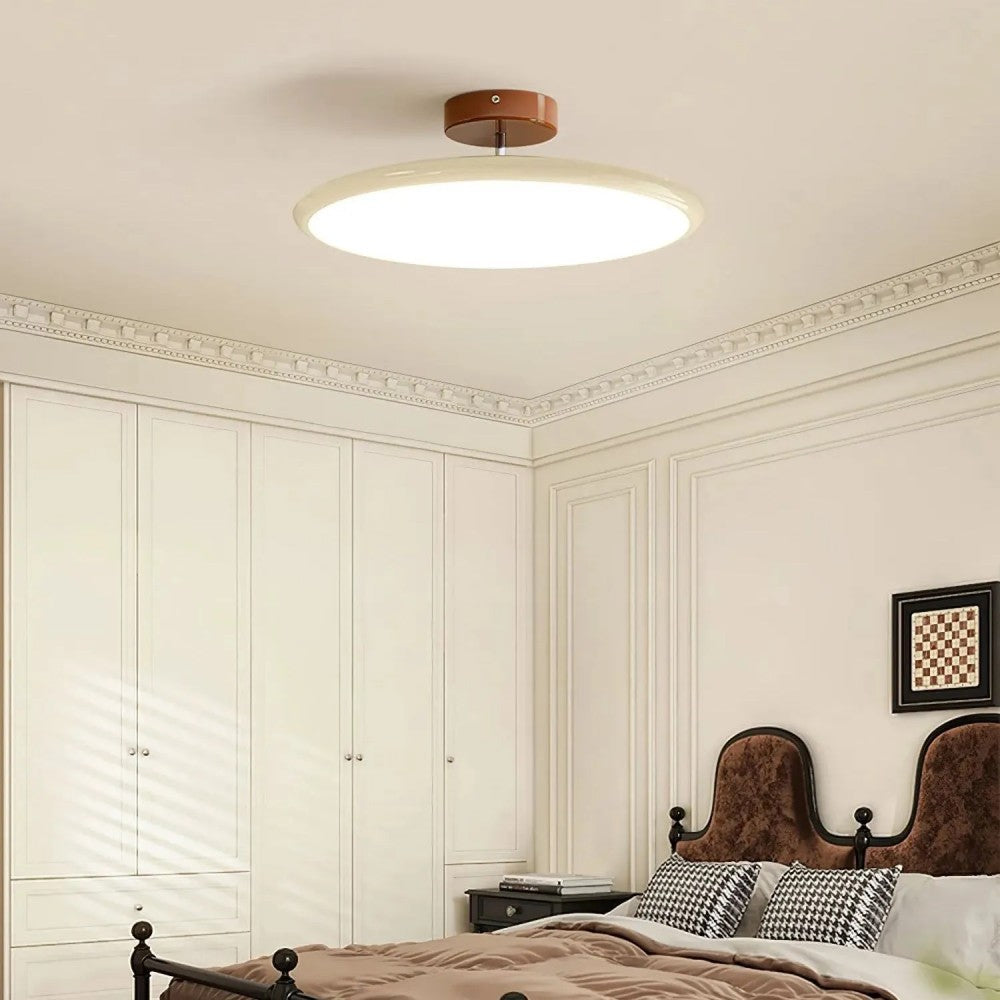 Modern Adjustable Color Ceiling Light