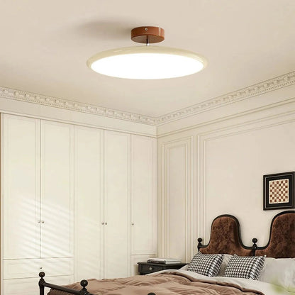Modern Adjustable Color Ceiling Light