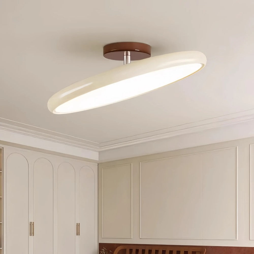 Modern Adjustable Color Ceiling Light
