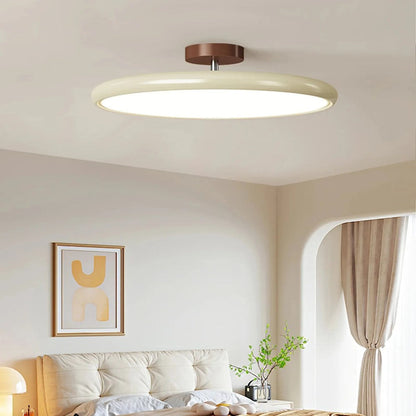 Modern Adjustable Color Ceiling Light