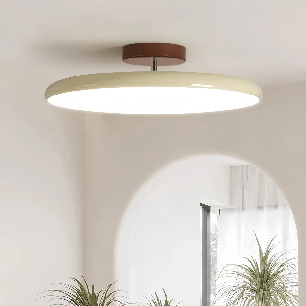 Modern Adjustable Color Ceiling Light