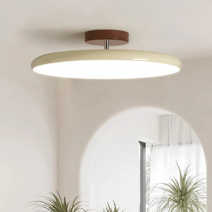 Modern Adjustable Color Ceiling Light