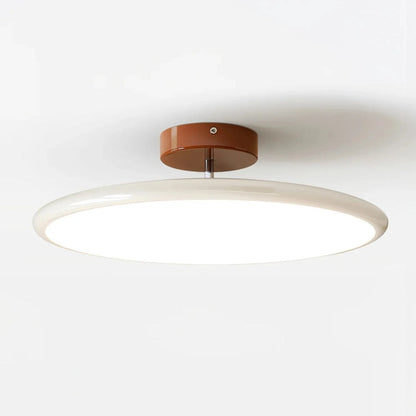 Modern Adjustable Color Ceiling Light