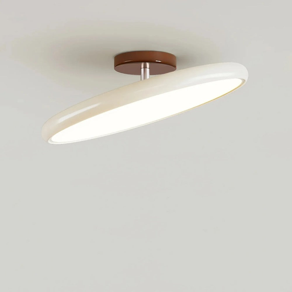 Modern Adjustable Color Ceiling Light