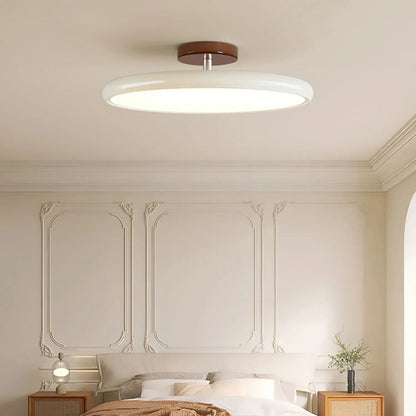 Modern Adjustable Color Ceiling Light