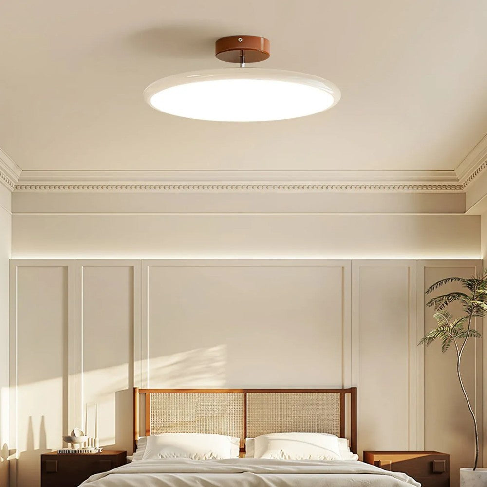 Modern Adjustable Color Ceiling Light