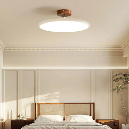 Modern Adjustable Color Ceiling Light