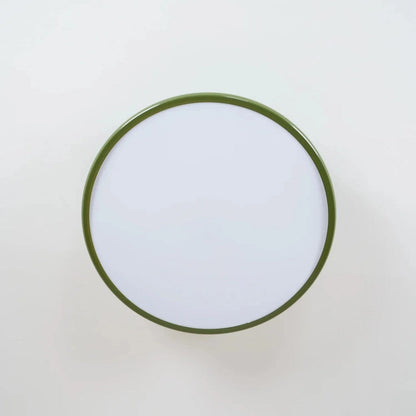 Modern Adjustable Color Ceiling Light