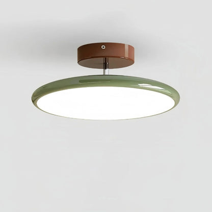 Modern Adjustable Color Ceiling Light