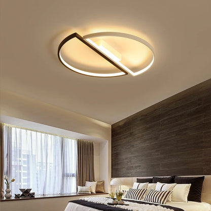 Modern Design Ceiling Light