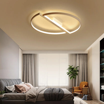 Modern Design Ceiling Light