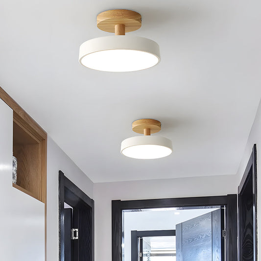 Modern Multicolor Round Ceiling Light