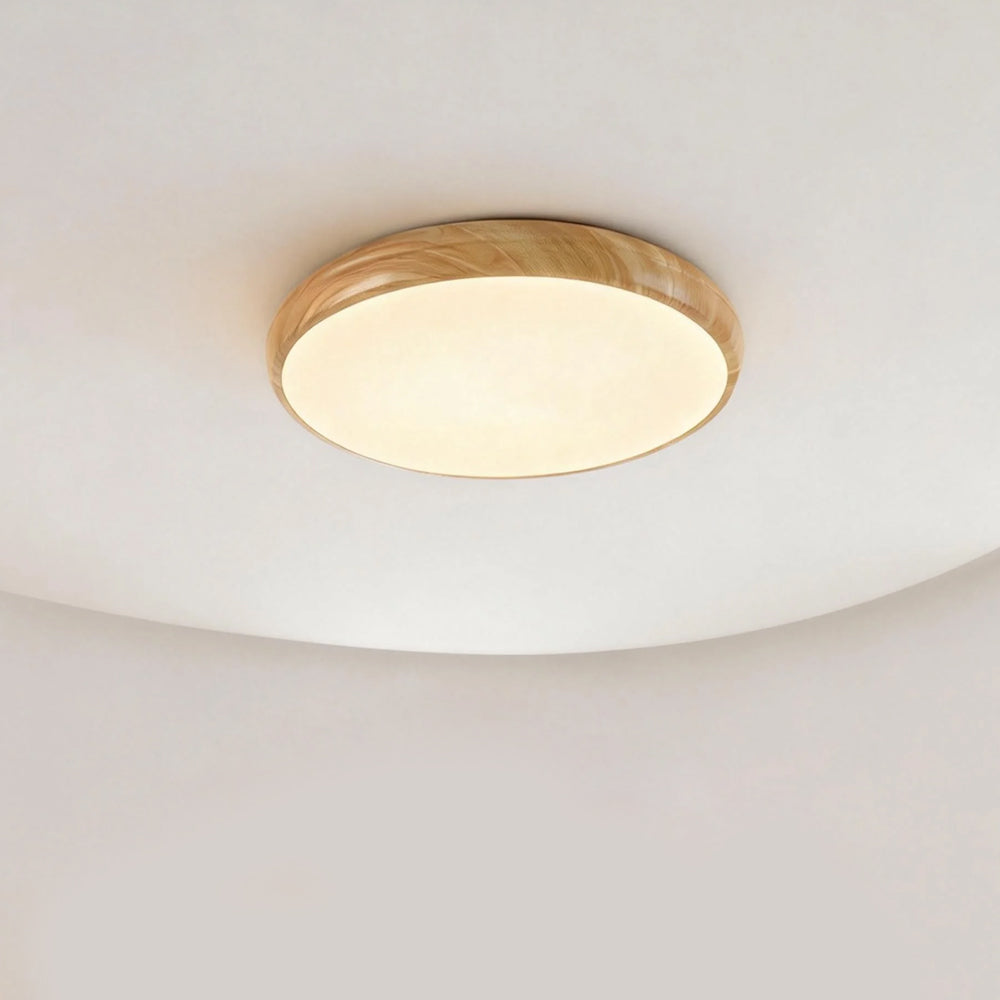 Modern Nordic Round Ceiling Light