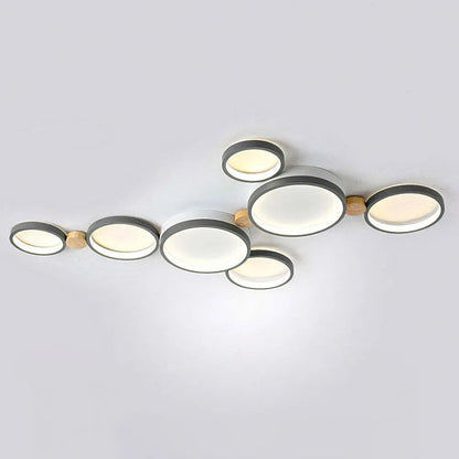 Modern Circular Design Ceiling Light