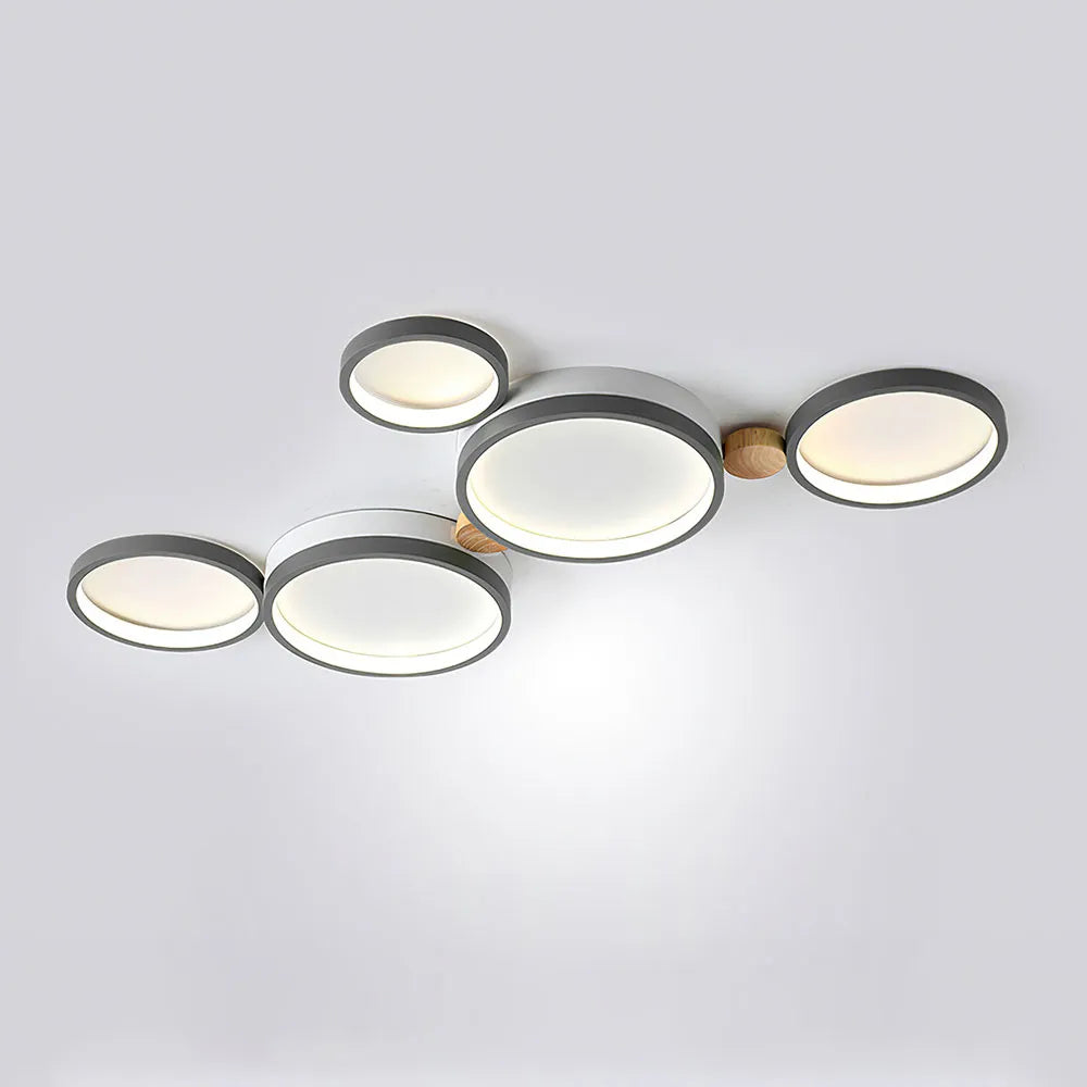 Modern Circular Design Ceiling Light
