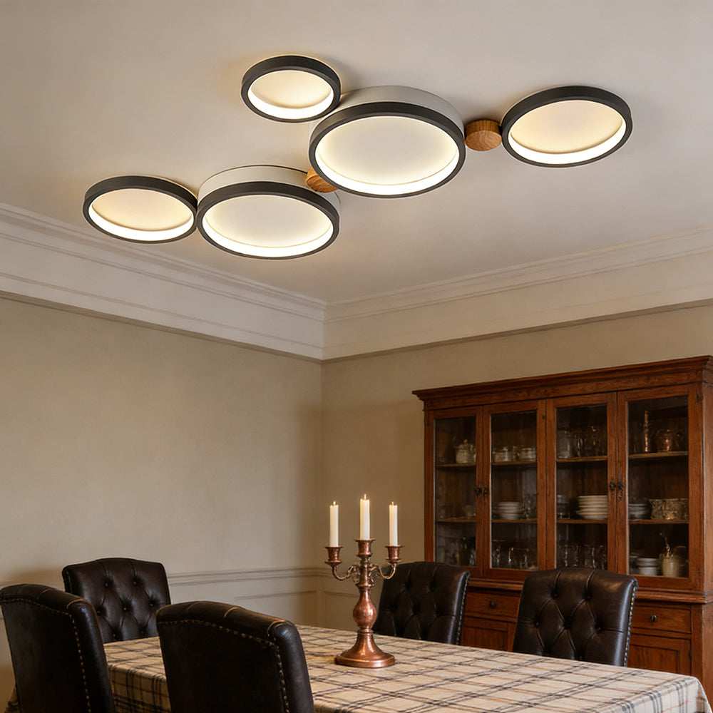 Modern Circular Design Ceiling Light