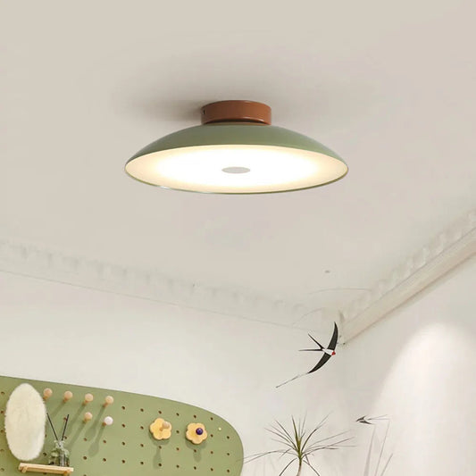 Modern Pebble-Shaped Ceiling Light
