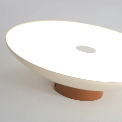 Modern Pebble-Shaped Ceiling Light