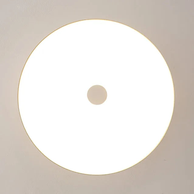 Modern Pebble-Shaped Ceiling Light