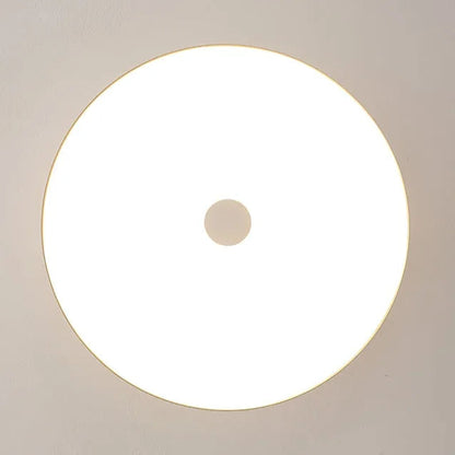 Modern Pebble-Shaped Ceiling Light