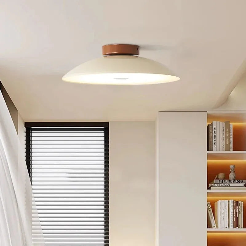 Modern Pebble-Shaped Ceiling Light