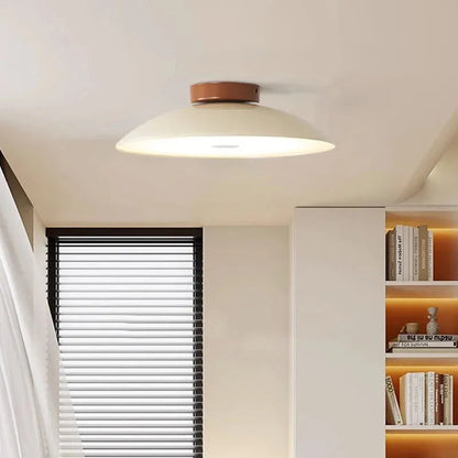 Modern Pebble-Shaped Ceiling Light