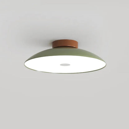 Modern Pebble-Shaped Ceiling Light