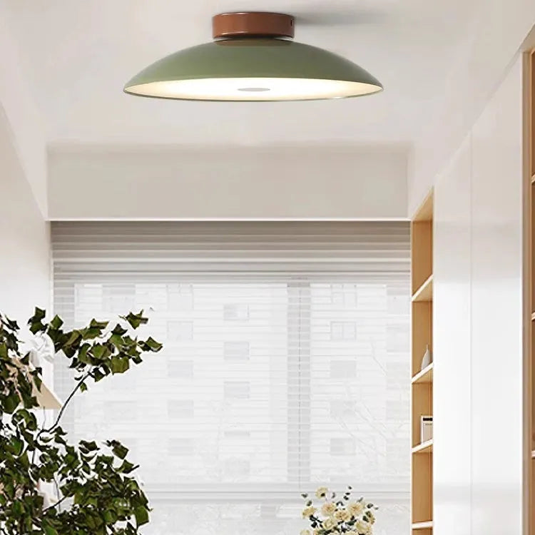 Modern Pebble-Shaped Ceiling Light