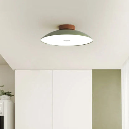 Modern Pebble-Shaped Ceiling Light