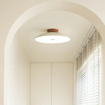 Modern Pebble-Shaped Ceiling Light
