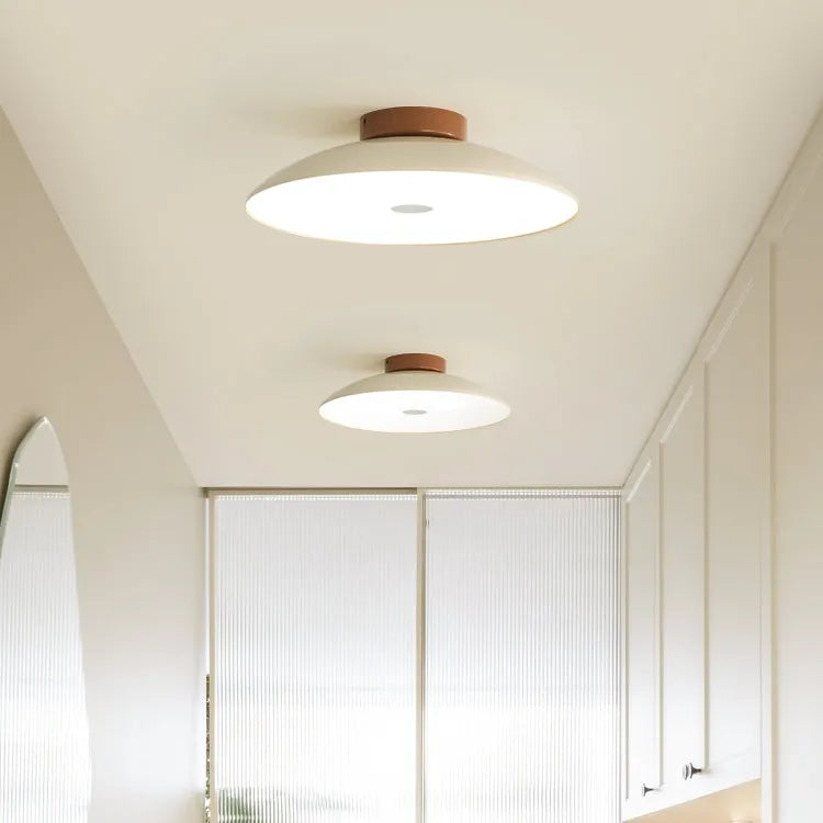 Modern Pebble-Shaped Ceiling Light