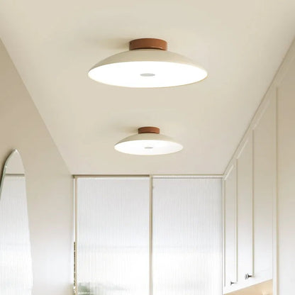 Modern Pebble-Shaped Ceiling Light