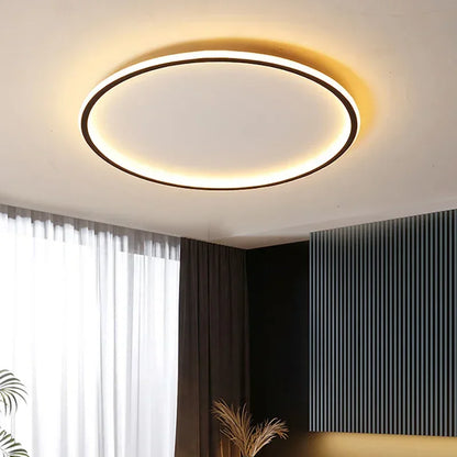 Circle Ceiling Light