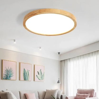 Driftwood Ceiling Light