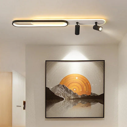 Modern Living Room Ceiling Light