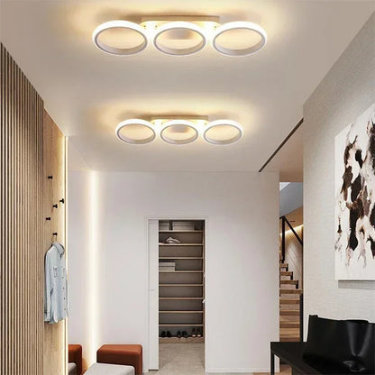 Modern LED Ceiling Light