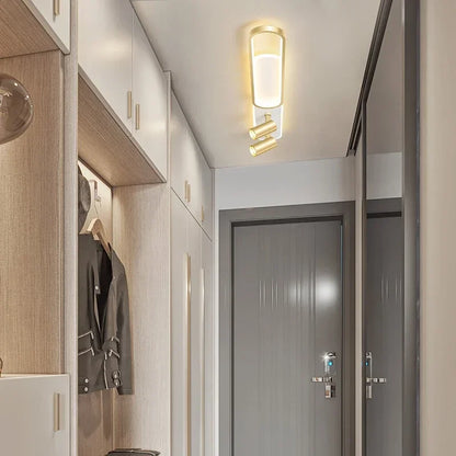 Modern Living Room Ceiling Light