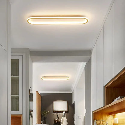 Long Ceiling Light