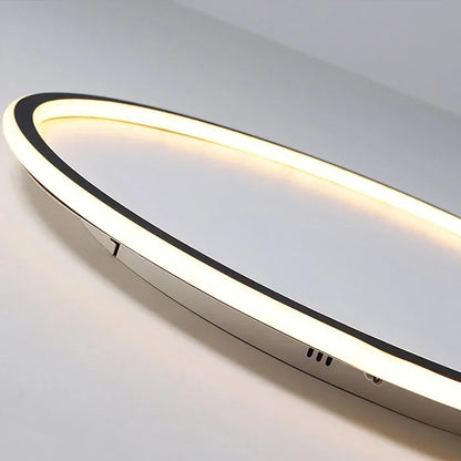 Circle Ceiling Light