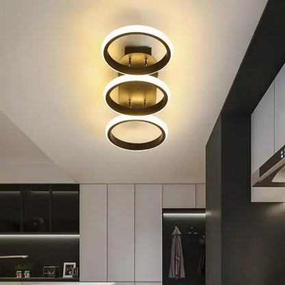 Modern LED Ceiling Light